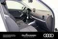 Audi Q2 1.6 TDI . LED Navi ACC Blanco - thumbnail 12