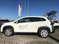 Suzuki S-Cross 1.4 Hybrid 2WD Top NUOVO DA IMMATRICOLARE Weiß - thumbnail 16