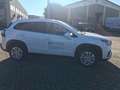Suzuki S-Cross 1.4 Hybrid 2WD Top NUOVO DA IMMATRICOLARE Weiß - thumbnail 4