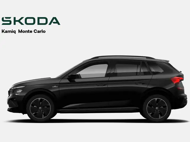 Skoda Kamiq view 3