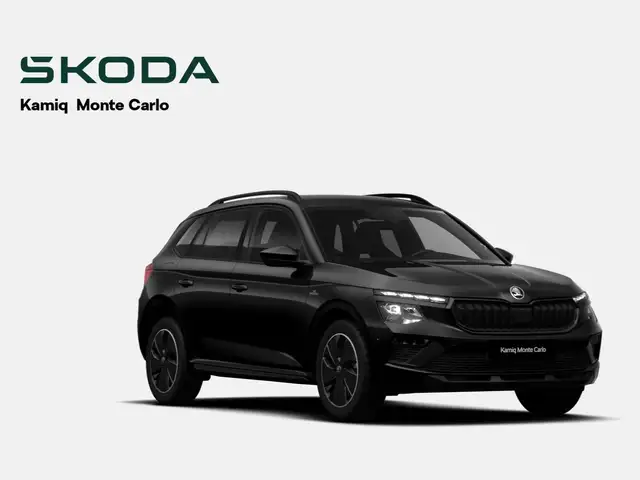 Skoda Kamiq view 2