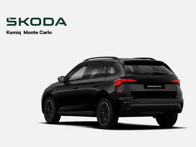 Skoda Kamiq view 4