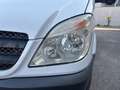 Mercedes-Benz Sprinter F37/35 313 CDI TN PIATTAFORMA AEREA TELESCOPICA Blanc - thumbnail 20