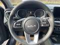 Kia XCeed Xceed 1,0 TGDI GPF Silber Blu/Azzurro - thumbnail 11