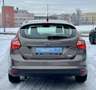 Ford Focus Easy - WinterPaket Brun - thumbnail 12