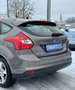 Ford Focus Easy - WinterPaket Brun - thumbnail 7