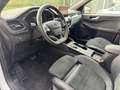 Ford Kuga 2.5 PHEV ST-Line Wit - thumbnail 11