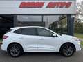 Ford Kuga 2.5 PHEV ST-Line Wit - thumbnail 6