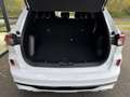 Ford Kuga 2.5 PHEV ST-Line Wit - thumbnail 21