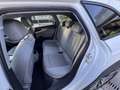 Audi A4 allroad Allroad Quattro 40 2.0 tdi Identity Contrast Stron Blanco - thumbnail 17