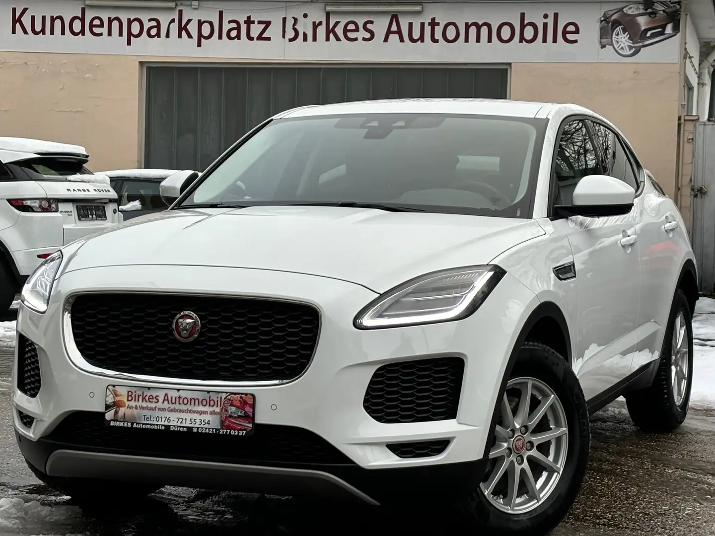Jaguar E-Pace D150 AWD Aut.-1.HAND-XENON Weiß - 1