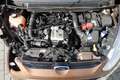 Ford B-Max 1.0 "Titanium" #PDC #KAM #FSH #SITZHZG #PDC Braun - thumbnail 21