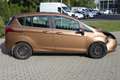 Ford B-Max 1.0 "Titanium" #PDC #KAM #FSH #SITZHZG #PDC Maro - thumbnail 7