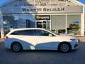 Ford Mondeo Traveller Titanium 2,0 Hybrid Aut. ACC Kamera Weiß - thumbnail 4