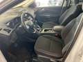 Ford Kuga Kuga II 2017 2.0 tdci Stealth s Blanc - thumbnail 16