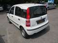 Fiat Panda 1.4 8V Natural Power Weiß - thumbnail 4