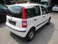 Fiat Panda 1.4 8V Natural Power Weiß - thumbnail 6