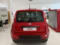 Fiat Panda Panda 1.0 70cv Hybrid Panda Piros - thumbnail 4