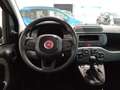 Fiat Panda Panda 1.0 70cv Hybrid Panda Piros - thumbnail 11