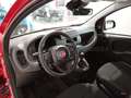 Fiat Panda Panda 1.0 70cv Hybrid Panda Piros - thumbnail 9