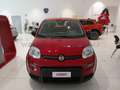 Fiat Panda Panda 1.0 70cv Hybrid Panda Piros - thumbnail 2