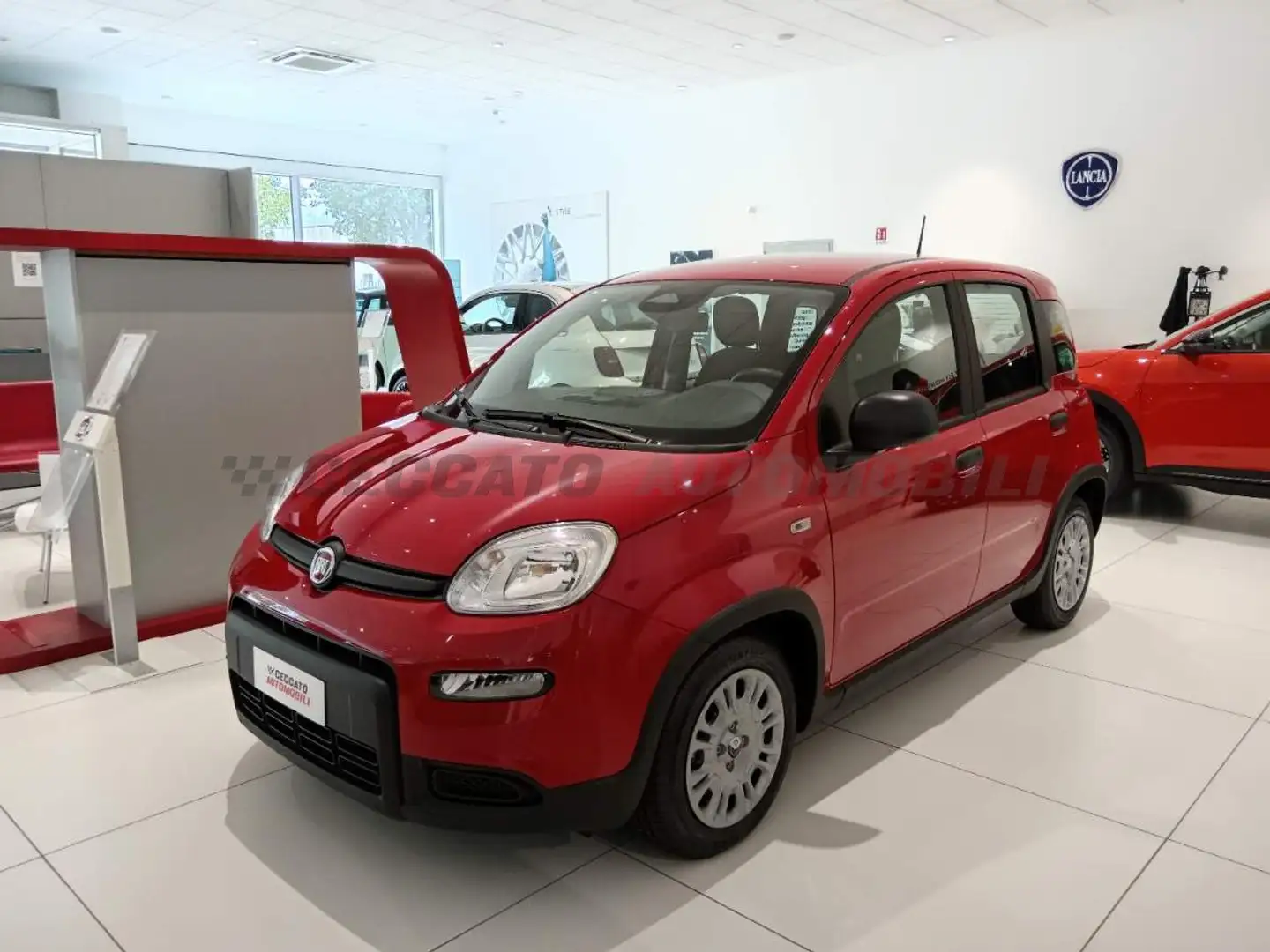 Fiat Panda Panda 1.0 70cv Hybrid Panda Piros - 1