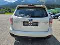 Subaru Forester SJ 2,0 Diesel Allraad Weiß - thumbnail 22