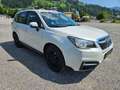 Subaru Forester SJ 2,0 Diesel Allraad Weiß - thumbnail 1
