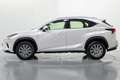 Lexus NX 300 300h Business 2WD Blanco - thumbnail 8