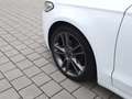 Ford Mondeo 2,0TDCi/Bi-Tu/Aut./Pano/LED/Kam./Titanium Blanc - thumbnail 8