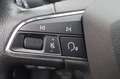SEAT Ibiza Style*Navi*Klima*RFK*SHZ*MFL*DAB*ALU*1.Hd Wit - thumbnail 18