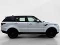 Land Rover Range Rover Sport 3.0 TDV6 Black & White Edition Weiß - thumbnail 6