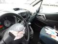 Citroen Berlingo Weiß - thumbnail 10