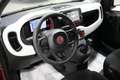 Fiat Panda Pandina 1.0 FireFly S&S Hybrid Rot - thumbnail 4