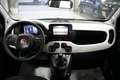 Fiat Panda Pandina 1.0 FireFly S&S Hybrid Rot - thumbnail 5