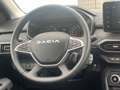 Dacia Sandero TCe 110 Stepway Extreme Kamera SHZ Carpl Grün - thumbnail 18