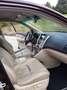 Lexus RX 400 RX 400h (hybrid) Executive Braun - thumbnail 5