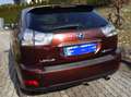 Lexus RX 400 RX 400h (hybrid) Executive Braun - thumbnail 4