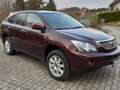 Lexus RX 400 RX 400h (hybrid) Executive Braun - thumbnail 3
