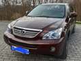 Lexus RX 400 RX 400h (hybrid) Executive Braun - thumbnail 1