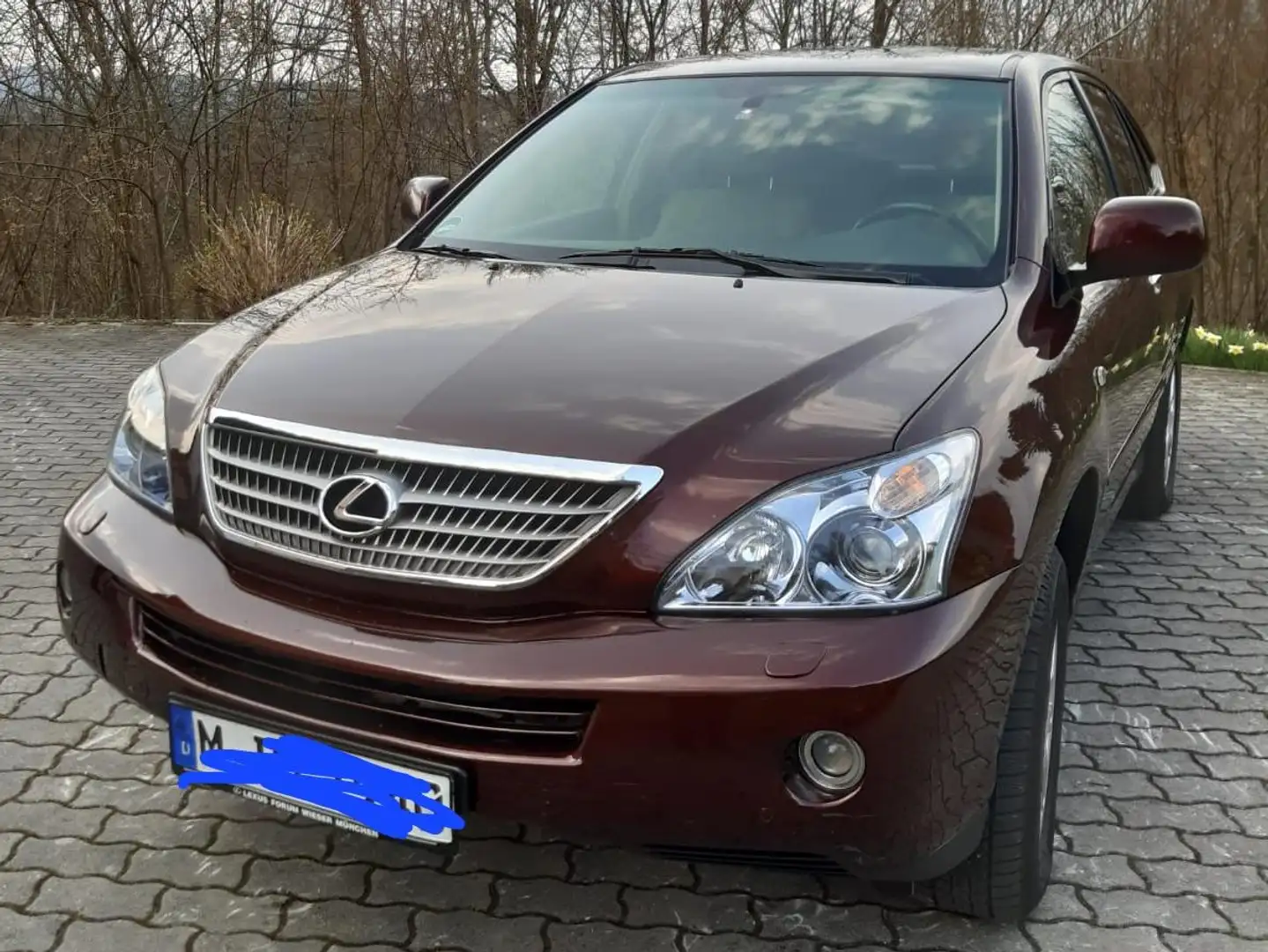 Lexus RX 400 RX 400h (hybrid) Executive Braun - 1