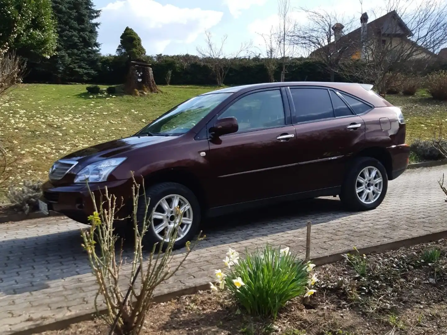 Lexus RX 400 RX 400h (hybrid) Executive Braun - 2