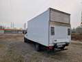 Iveco Daily Sponda Idraulica 8 Epal Bianco - thumbnail 5