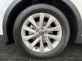Toyota C-HR 1.8 FWD Business Edition Weiß - thumbnail 15