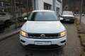 Volkswagen Tiguan Comfortline 1.4 TSI 4Motion ACT Navi,SHZ Weiß - thumbnail 3