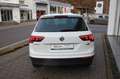 Volkswagen Tiguan Comfortline 1.4 TSI 4Motion ACT Navi,SHZ Weiß - thumbnail 7