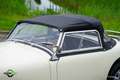 Austin-Healey Sprite MK1 Blanco - thumbnail 24