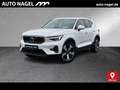 Volvo XC40 XC40 T5 Plus Bright Weiß - thumbnail 1