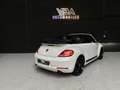 Volkswagen Coccinelle Cabriolet (2) 2.0 TSI 210 DSG6 Sport Blanc - thumbnail 11