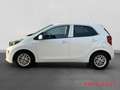 Kia Picanto Kia Dream Team 1.0 Navigation Rückfahrkamera Blanc - thumbnail 2
